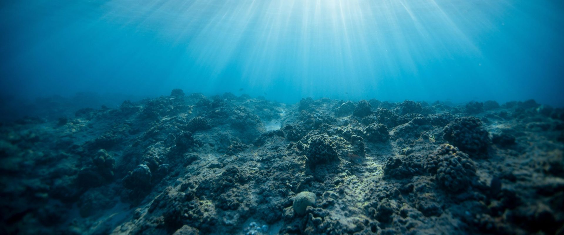 underwater